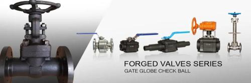 China Forged Valves Co., Ltd.