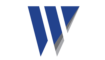 Wilcoxon Sensing Technologies
