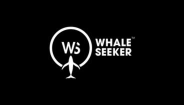 Whale Seeker