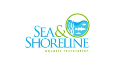 Sea and Shoreline
